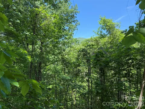 0 Buffalo Shoals Road #1