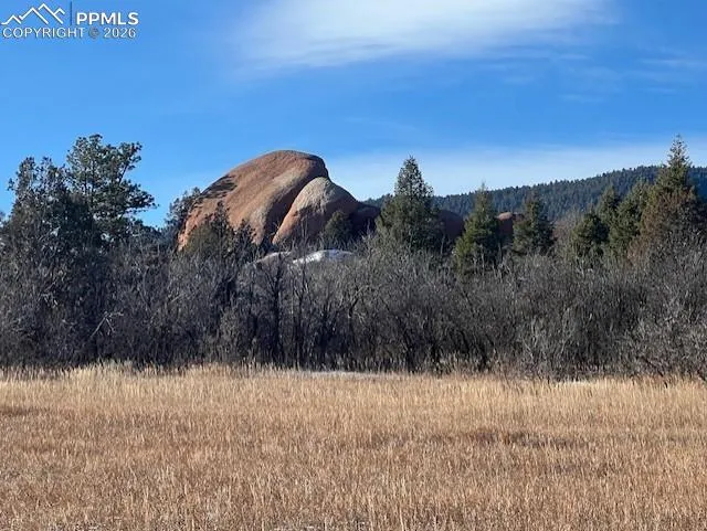 6009 St Andrews Court Larkspur, CO 80118