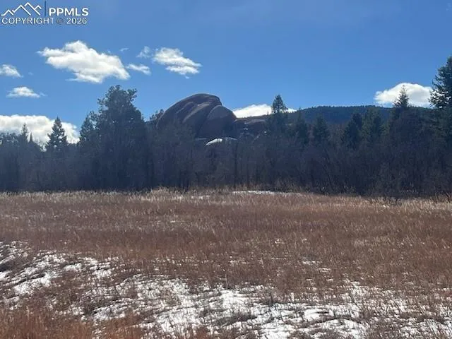 6009 St Andrews Court Larkspur, CO 80118