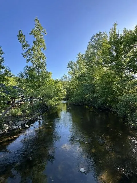 1209 Island Drive #104 Ann Arbor, MI 48105