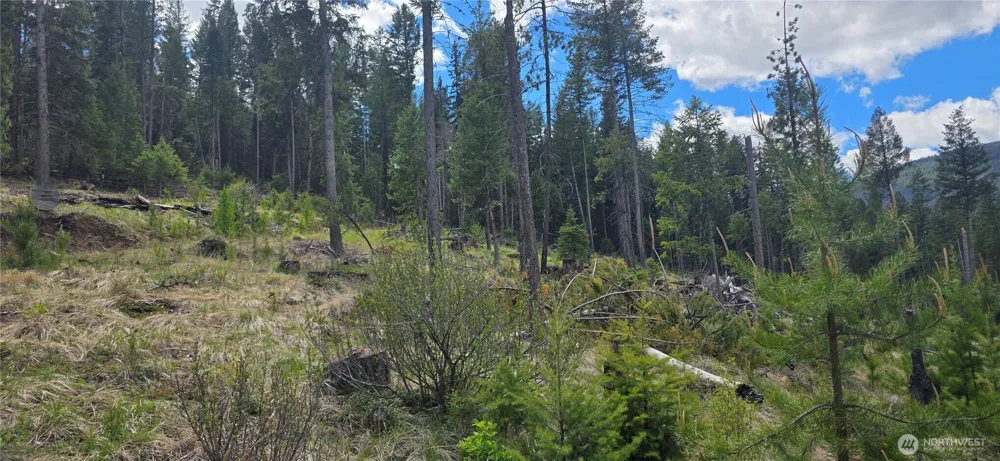 790 BONAPARTE LAKE RD Tonasket, WA 98855