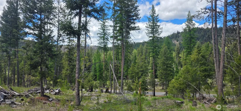 790 BONAPARTE LAKE RD Tonasket, WA 98855