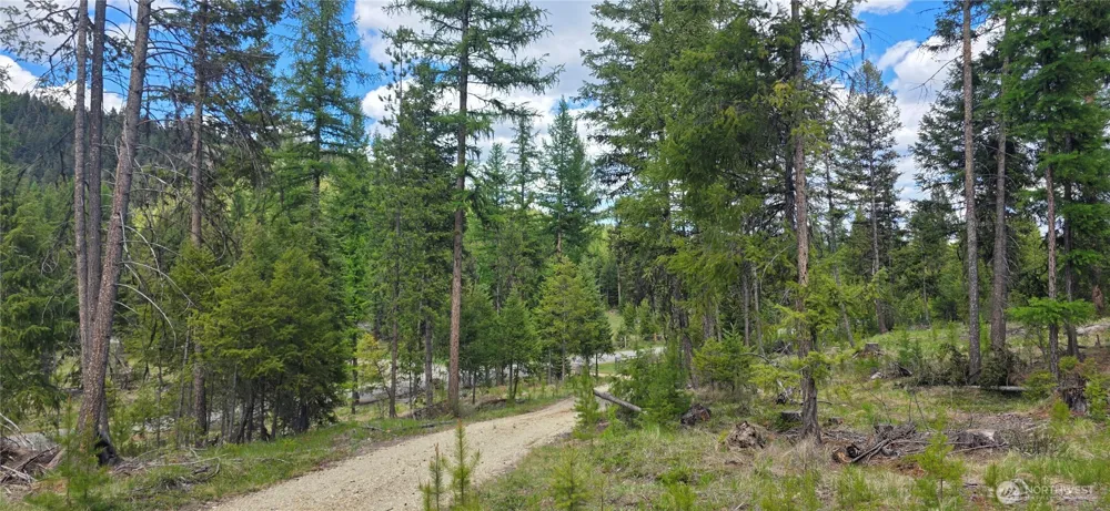 790 BONAPARTE LAKE RD Tonasket, WA 98855