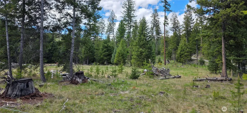 790 BONAPARTE LAKE RD Tonasket, WA 98855