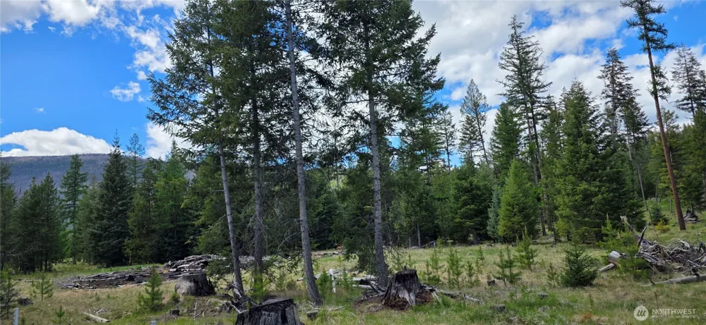 790 BONAPARTE LAKE RD Tonasket, WA 98855