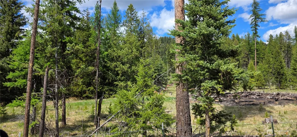 790 BONAPARTE LAKE RD Tonasket, WA 98855