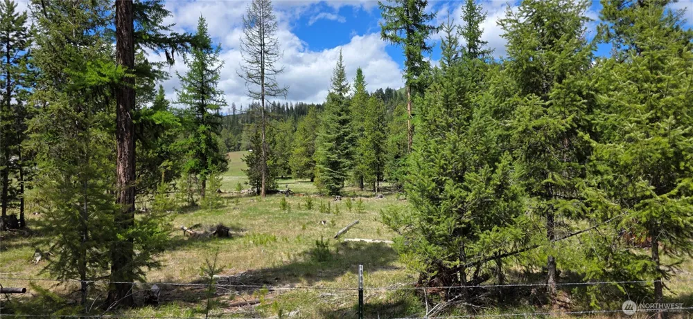 790 BONAPARTE LAKE RD Tonasket, WA 98855