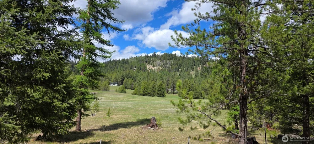 790 BONAPARTE LAKE RD Tonasket, WA 98855