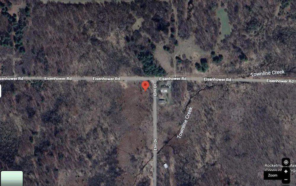 11917 Elm Drive Lakeview, MI 48850