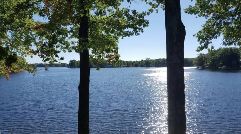 11917 Elm Drive Lakeview, MI 48850