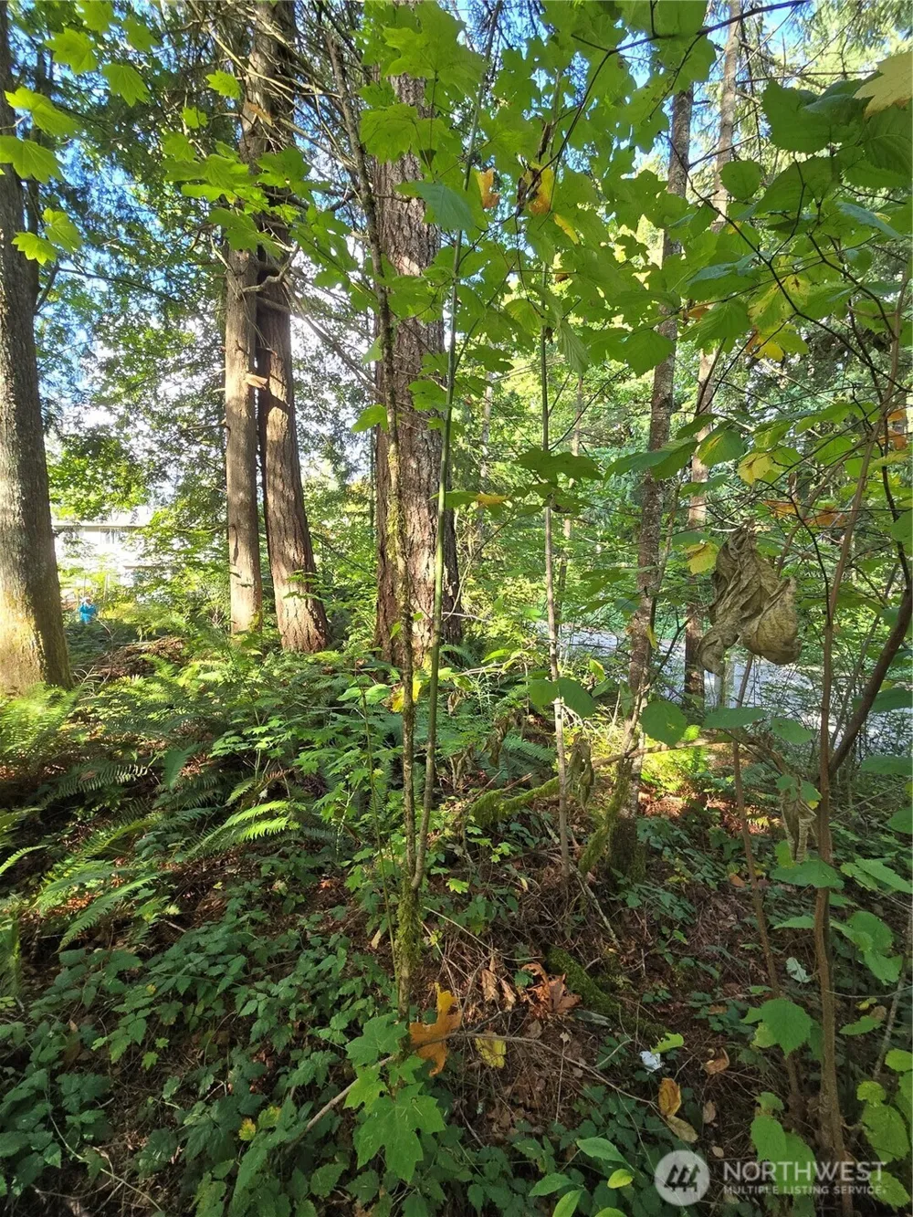 0 Lot BB SE 159th Street North Bend, WA 98045