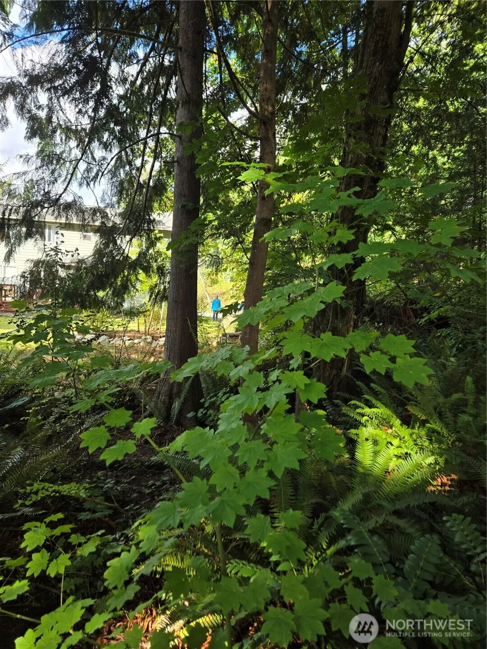 0 Lot BB SE 159th Street North Bend, WA 98045