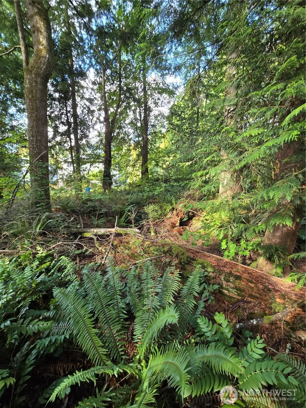 0 Lot BB SE 159th Street North Bend, WA 98045
