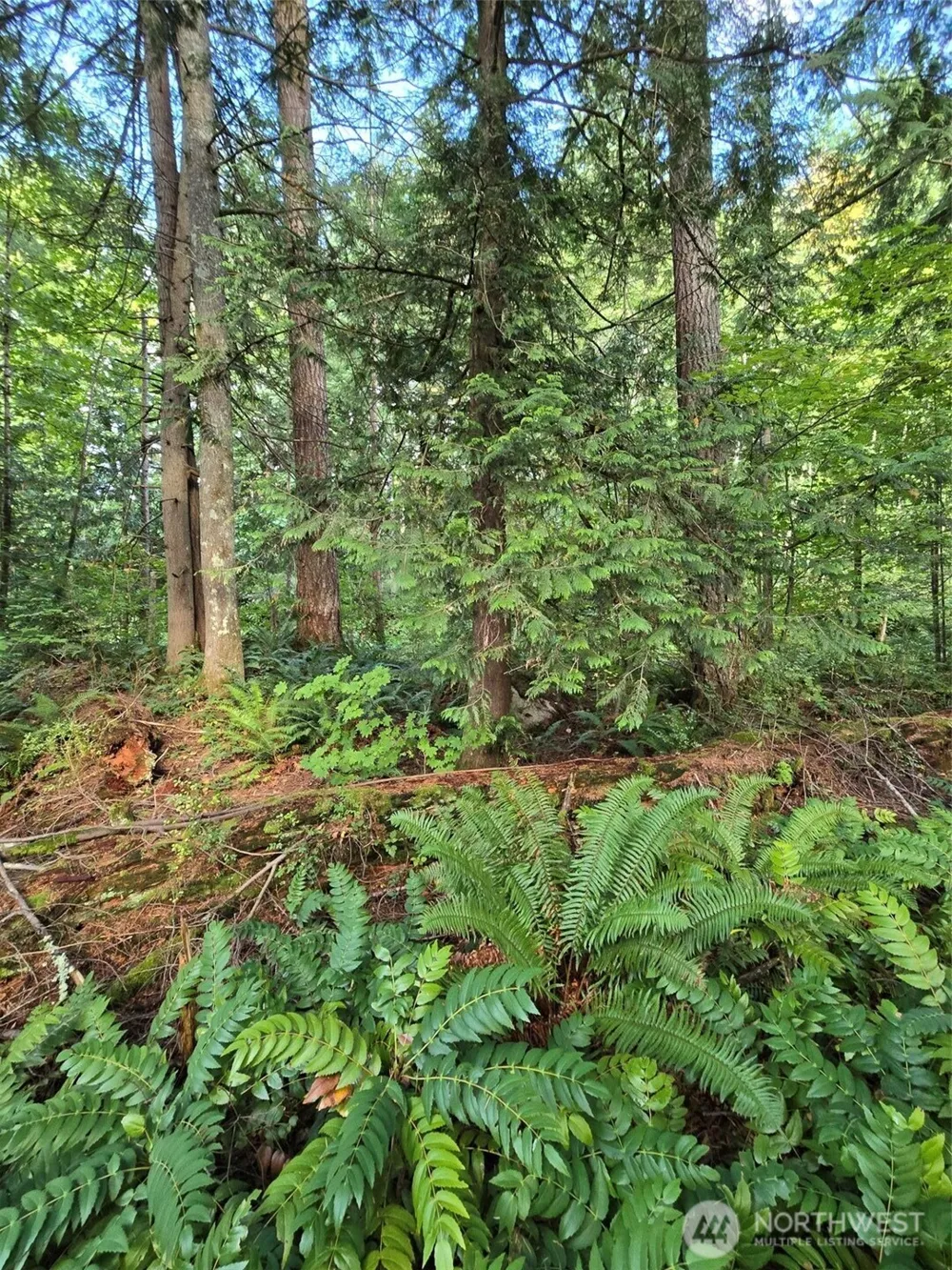 0 Lot BB SE 159th Street North Bend, WA 98045
