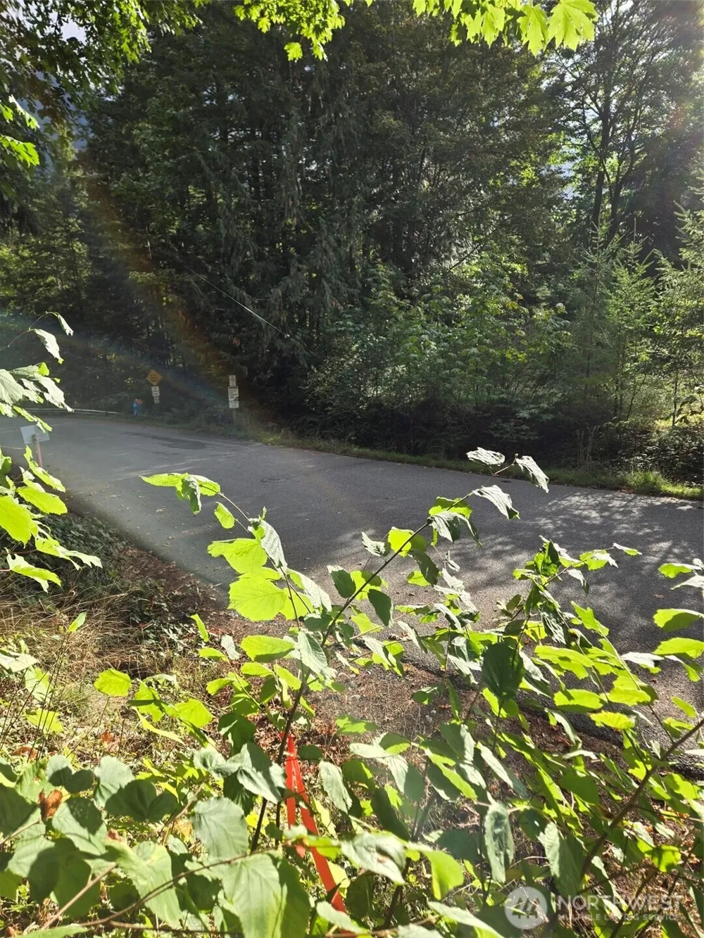 0 Lot BB SE 159th Street North Bend, WA 98045