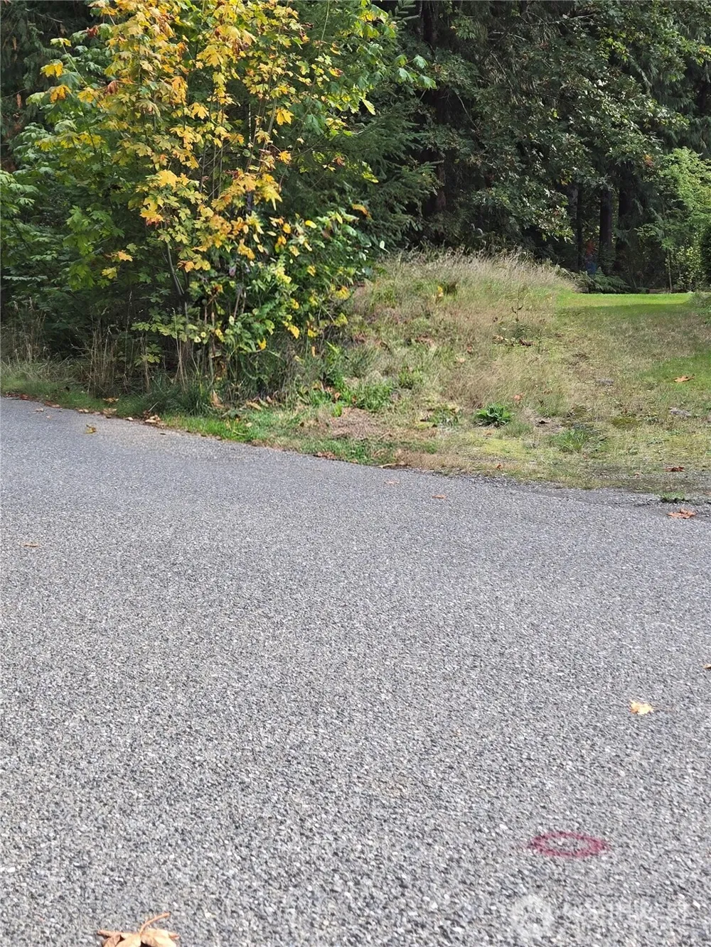 0 Lot BB SE 159th Street North Bend, WA 98045