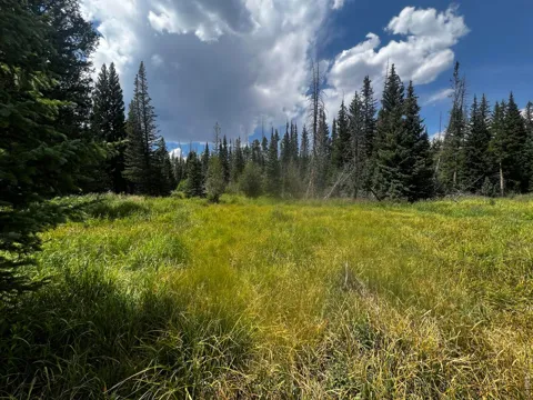 0 Forest Service Road #169