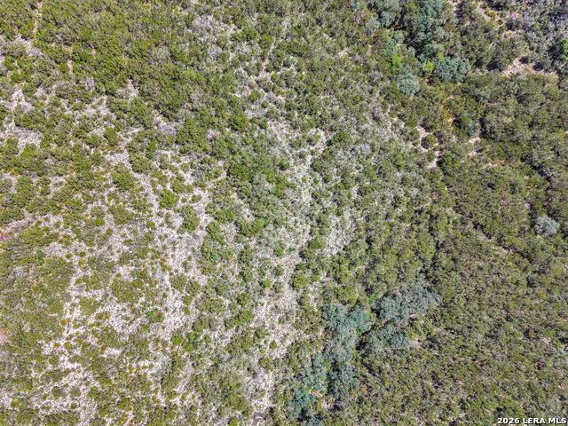 LOT 370 CR 2759 Mico, TX 78056