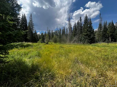 0 Forest Service Road #169