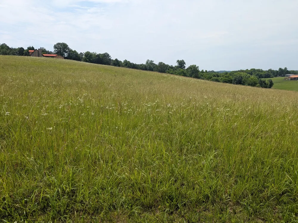 2 Riverbend Drive Dayton, TN 37321