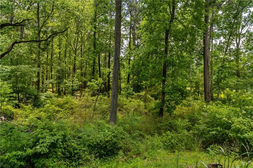 3873 Paul Samuel Road NW Kennesaw, GA 30152