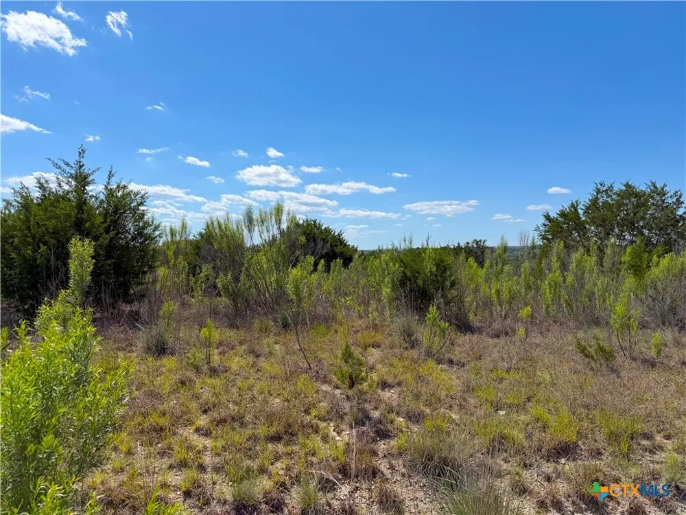 634 Mystic Parkway Spring Branch, TX 78070
