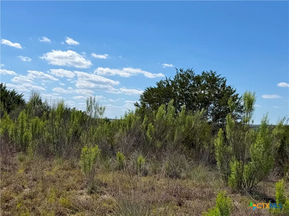 634 Mystic Parkway Spring Branch, TX 78070
