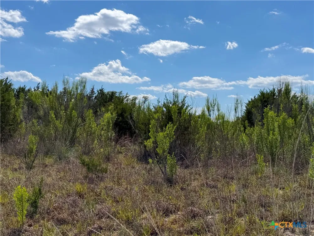 634 Mystic Parkway Spring Branch, TX 78070