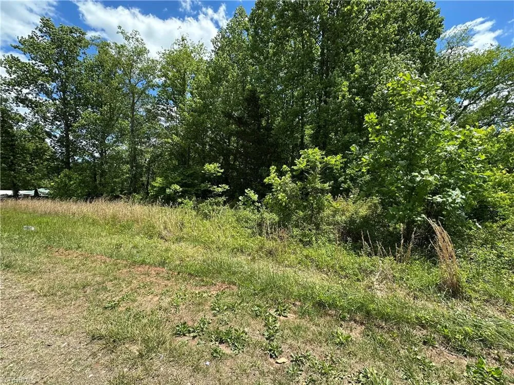 TBD Sparta Road North Wilkesboro, NC 28659