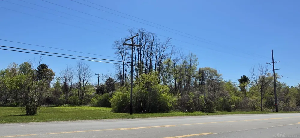 Lakeshore Road Worth Township, MI 48450