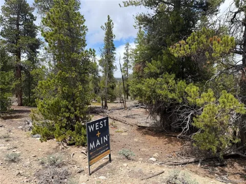 341 Lodgepole Drive