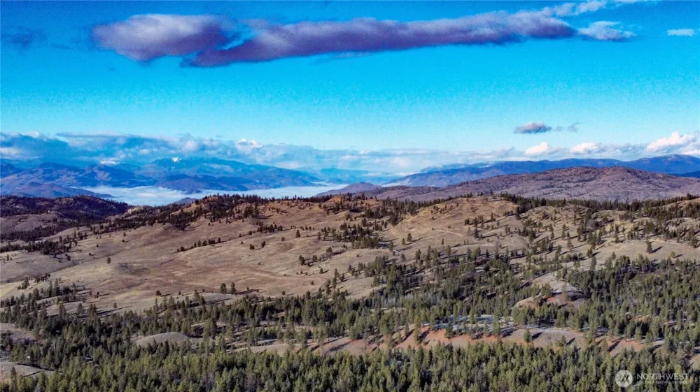 0 RED FEATHER LOT 16 #B Tonasket, WA 98849