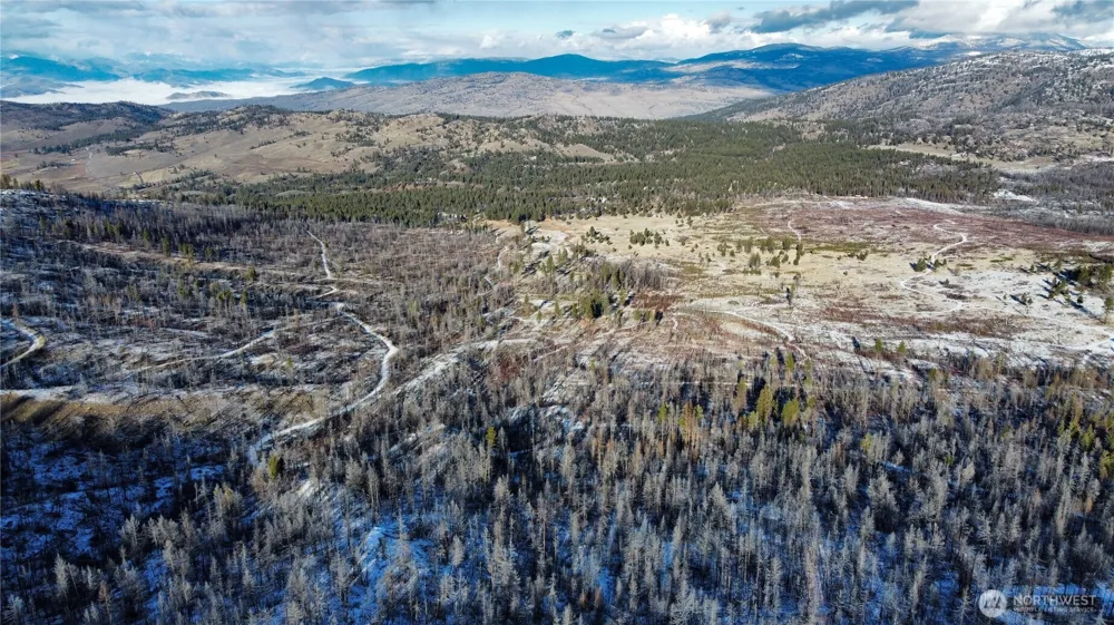 0 RED FEATHER LOT 16 #B Tonasket, WA 98849