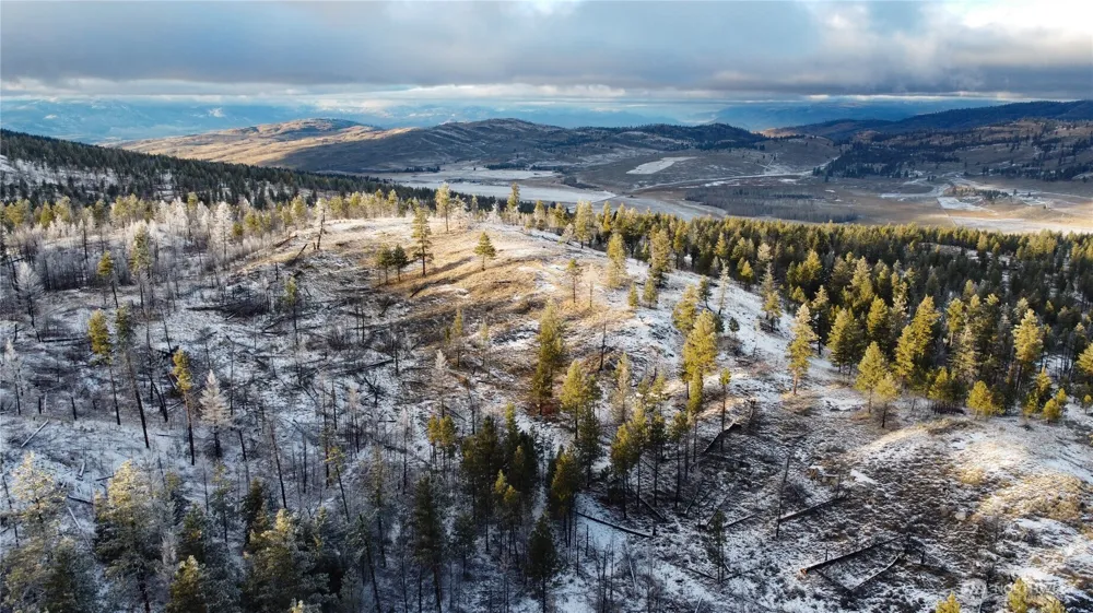 0 RED FEATHER LOT 16 #B Tonasket, WA 98849
