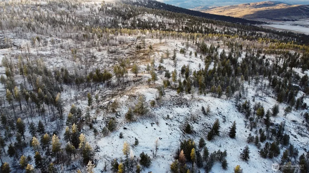 0 RED FEATHER LOT 16 #B Tonasket, WA 98849