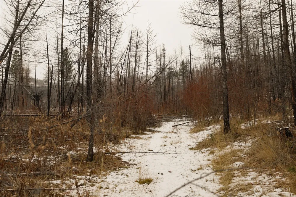 0 RED FEATHER LOT 16 #B Tonasket, WA 98849