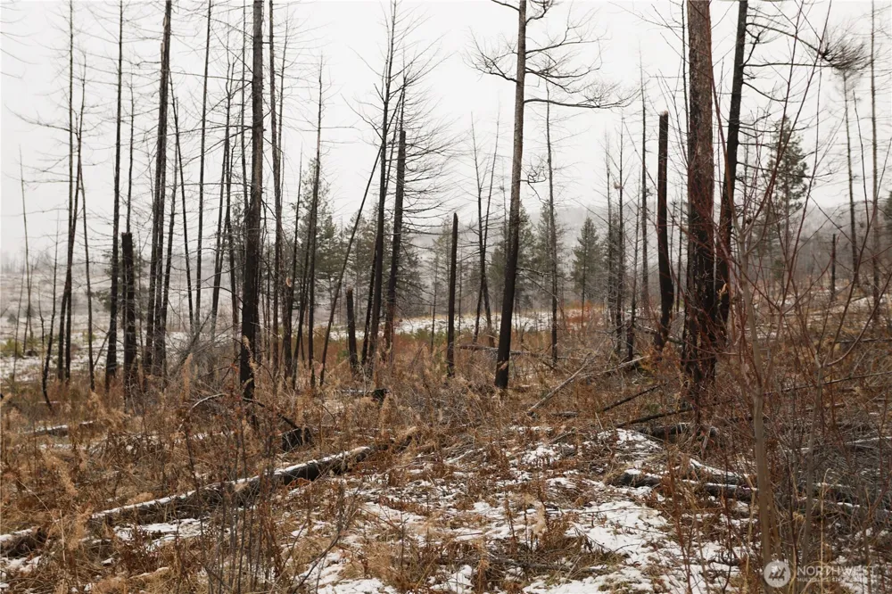 0 RED FEATHER LOT 16 #B Tonasket, WA 98849