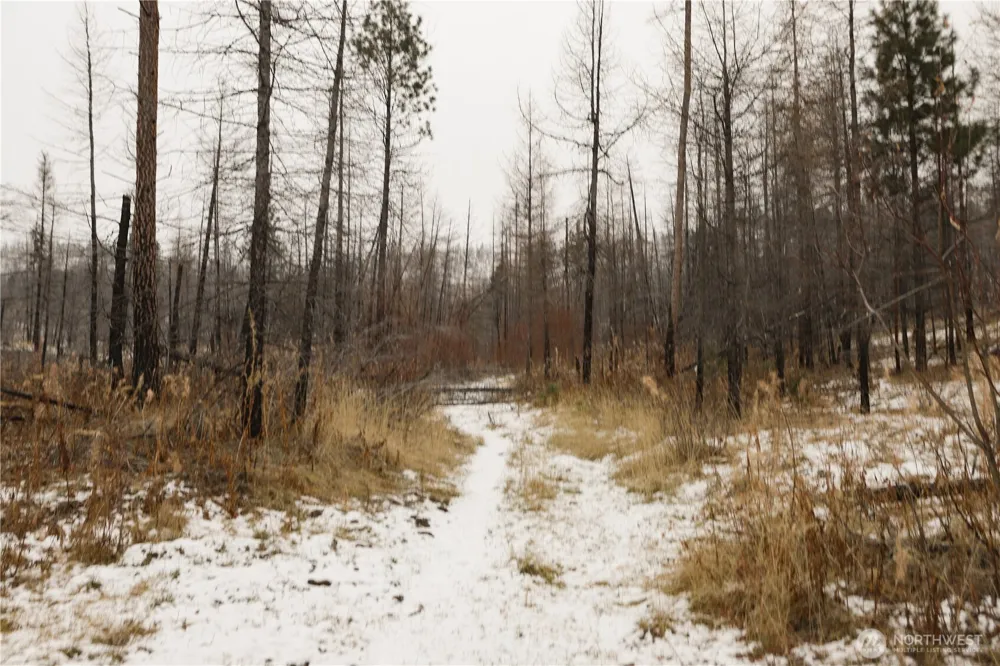 0 RED FEATHER LOT 16 #B Tonasket, WA 98849