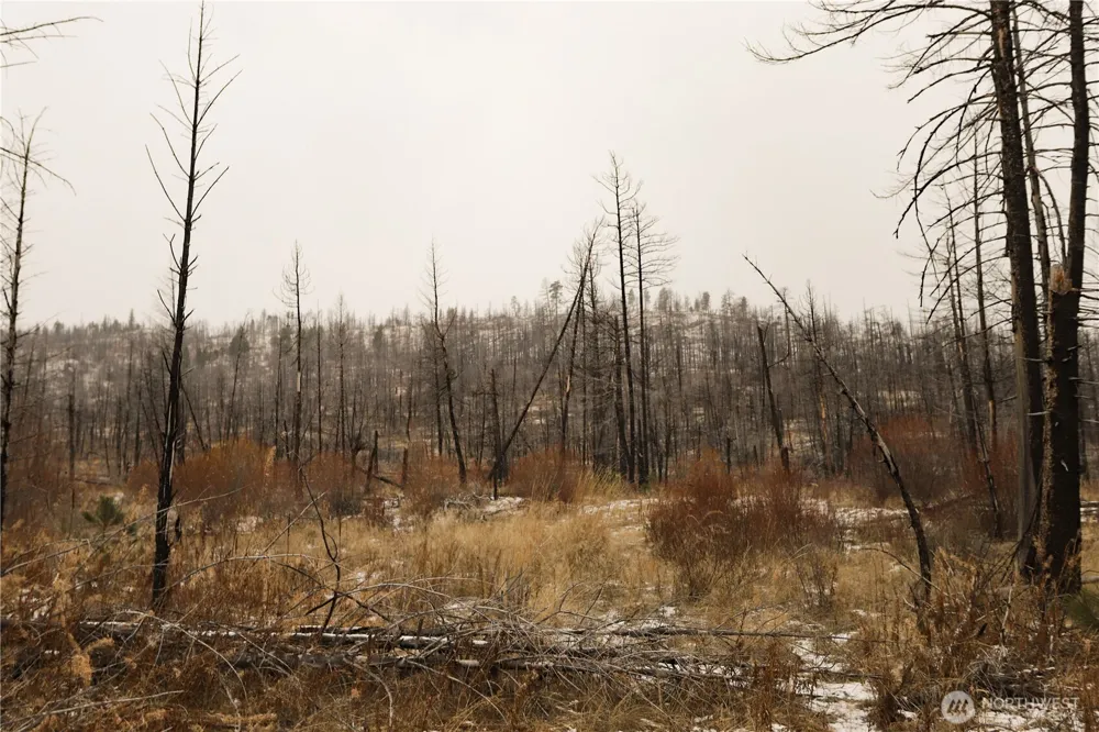 0 RED FEATHER LOT 16 #B Tonasket, WA 98849