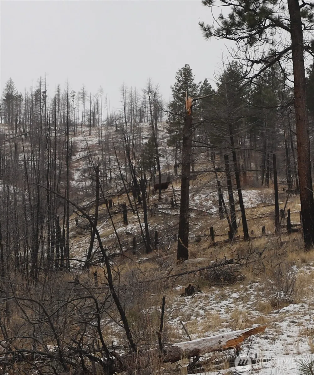 0 RED FEATHER LOT 16 #B Tonasket, WA 98849