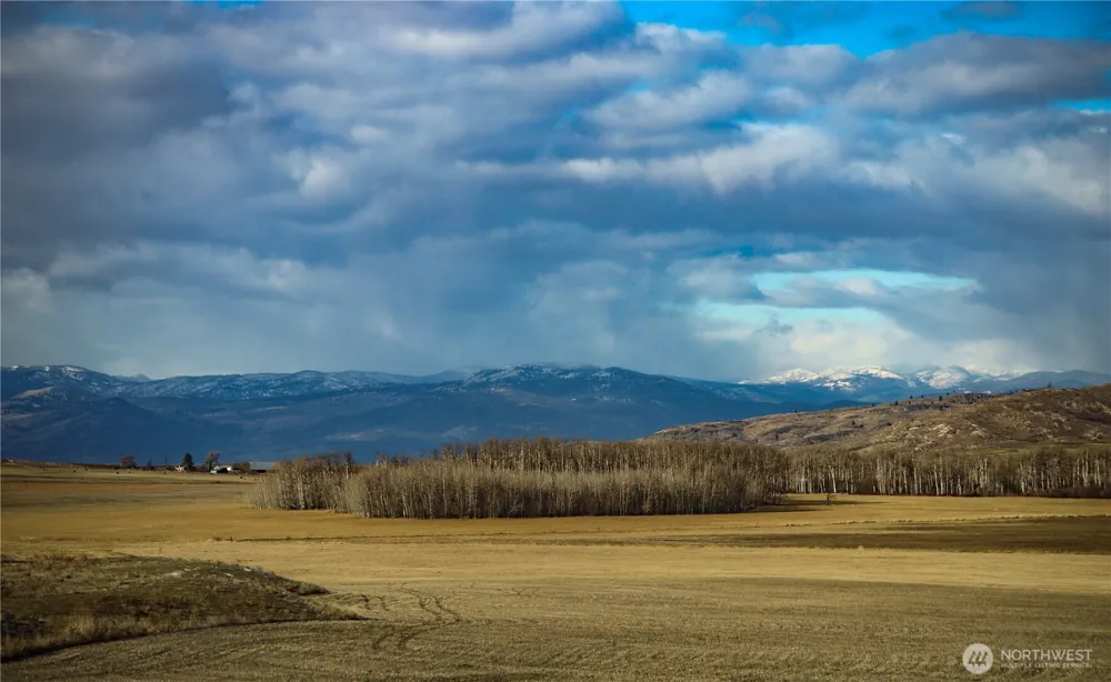 0 RED FEATHER LOT 16 #B Tonasket, WA 98849