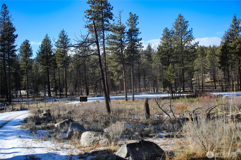 0 RED FEATHER LOT 16 #B Tonasket, WA 98849