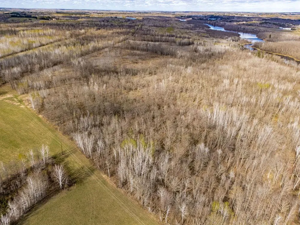 TBD Wold Road Sturgeon Lake, MN 55783