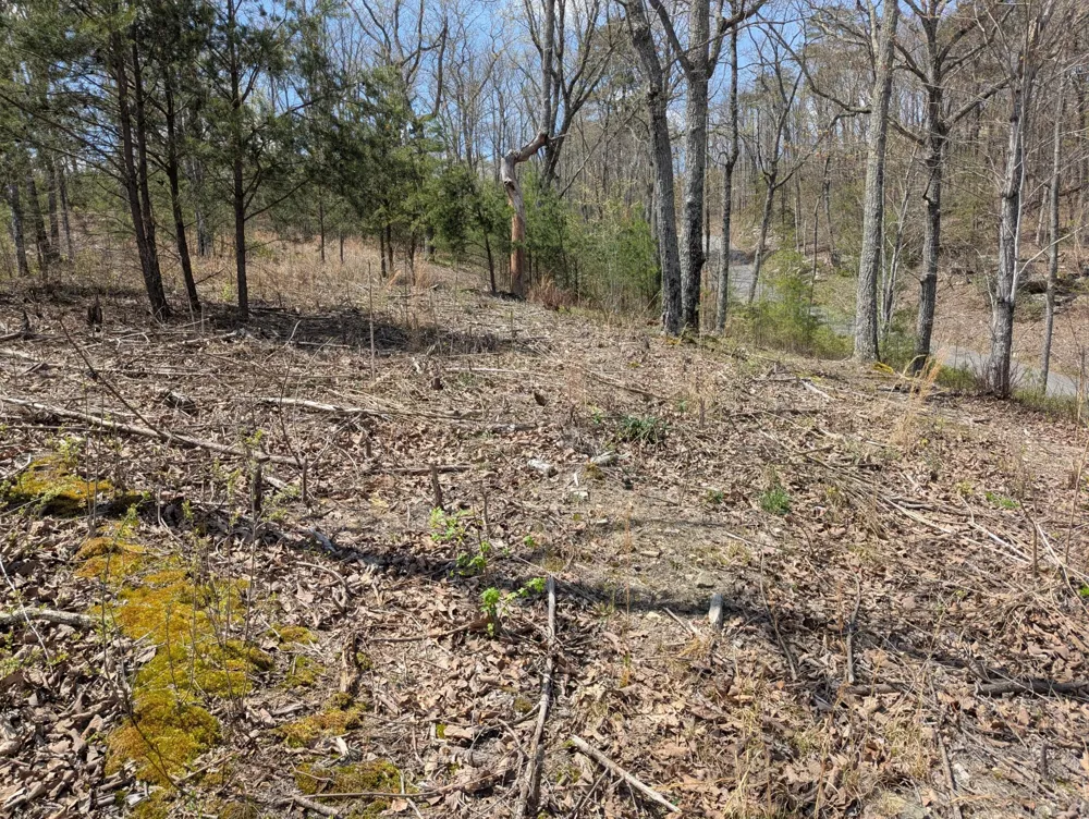 10 Escape Drive Evensville, TN 37332