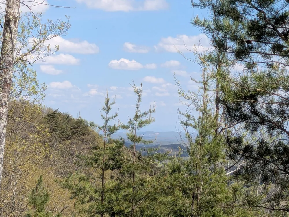 10 Escape Drive Evensville, TN 37332