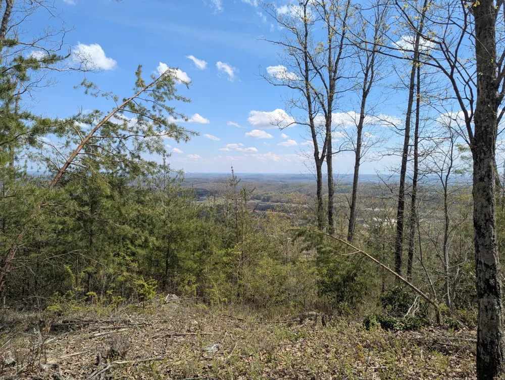 10 Escape Drive Evensville, TN 37332