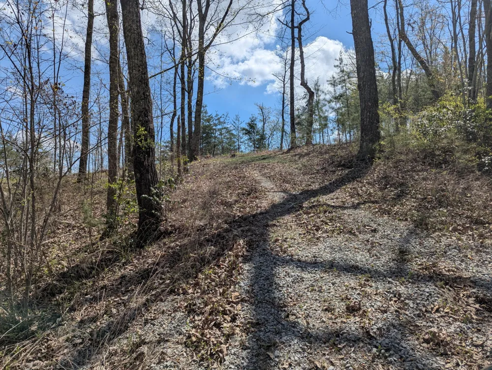 10 Escape Drive Evensville, TN 37332