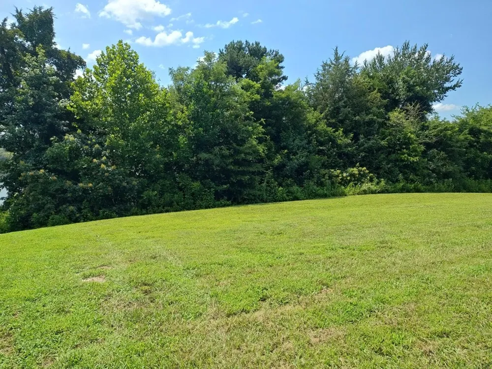 72 Espalier Drive Decatur, TN 37322