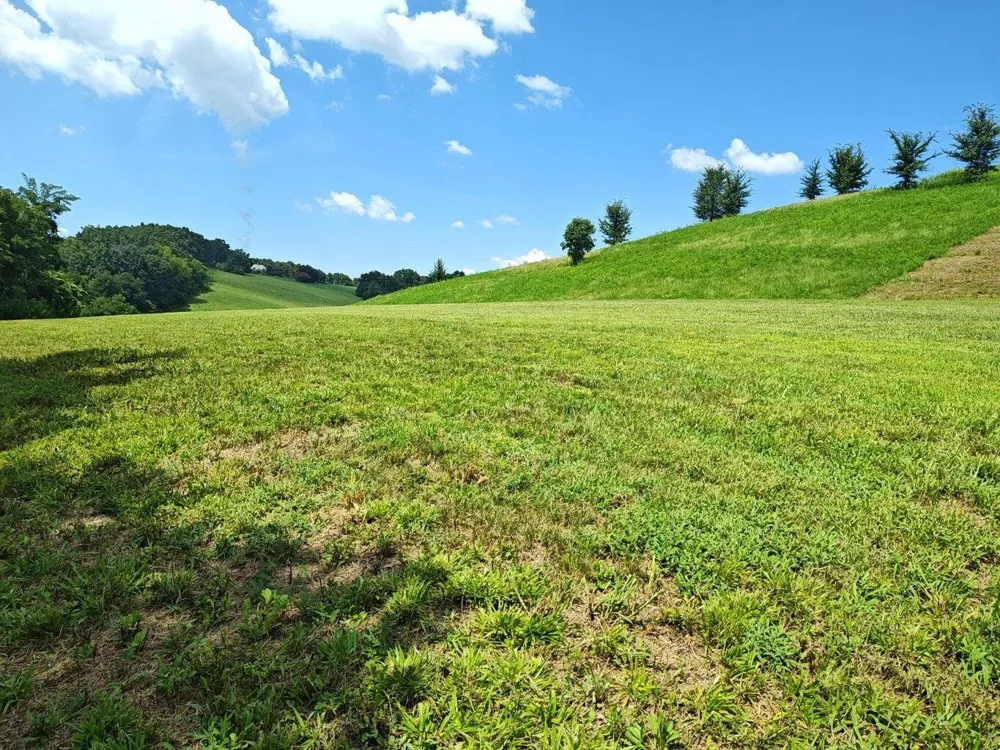 72 Espalier Drive Decatur, TN 37322