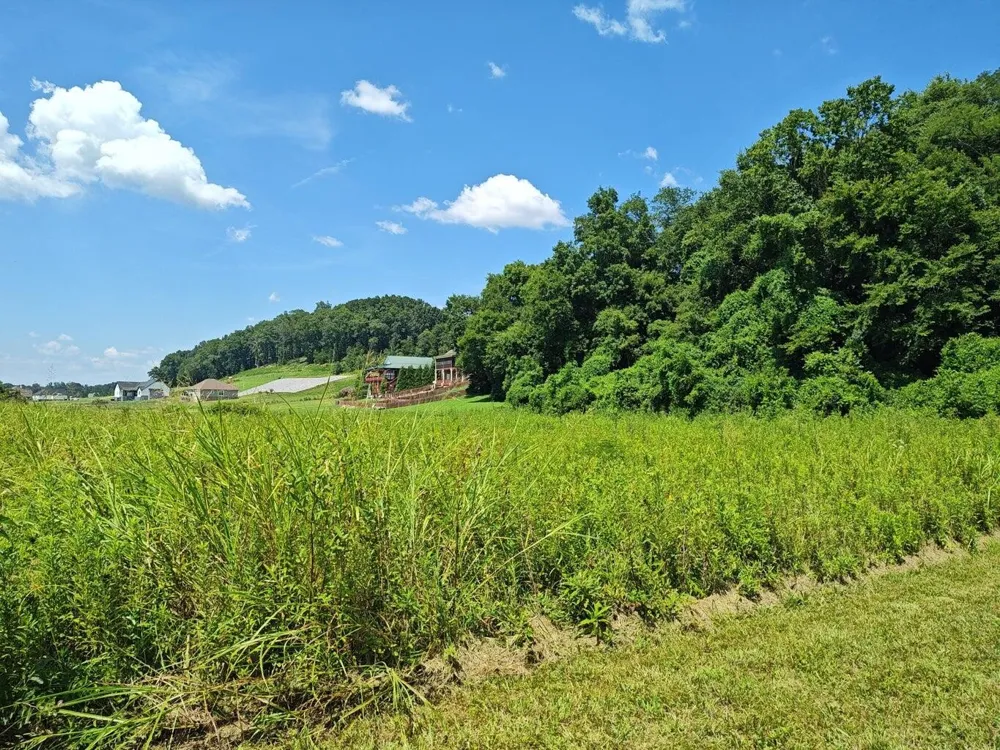 72 Espalier Drive Decatur, TN 37322